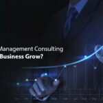 How Can Management Consulting Help Your Business Grow?