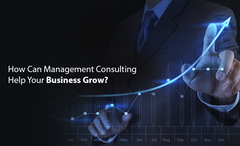 How Can Management Consulting Help Your Business Grow? (3 Ways)
